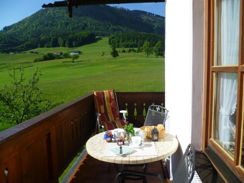 Apartment Hollweger