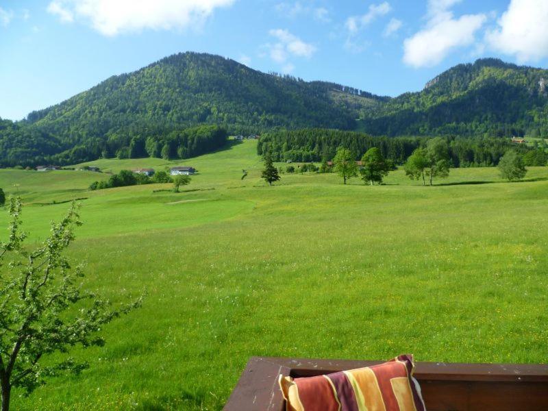Hollweger Ruhpolding