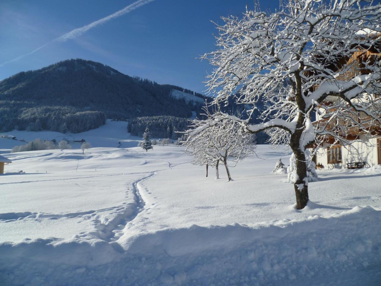 Hollweger Apartment Ruhpolding